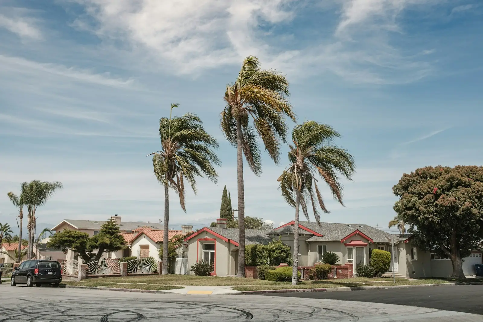 A Los Angeles street of single-story homes lined with tall palm trees